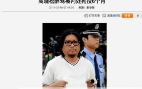 高晓松醉驾案件对居民身份信息查询有何影响？怎样防范？