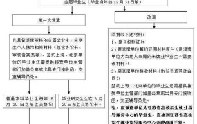 报到证丢失怎么办？补办流程是怎样的？