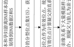 DNA亲子鉴定流程是怎样的？需要提供哪些样本？