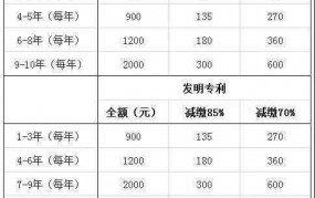 实质审查具体是指什么？有哪些注意事项？