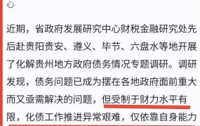 希望发债价值分析，投资前景如何评估？