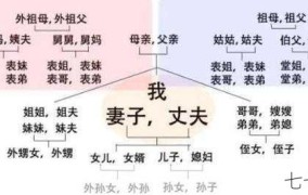 如何处理与配偶和侄子间的家庭关系问题？