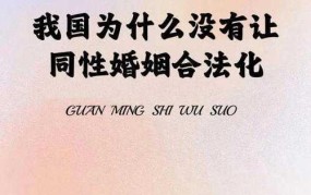 哪些国家允许婚姻合法化？有哪些相关规定？