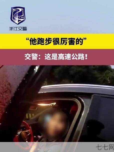 为什么不能在高速公路上奔跑？有哪些安全规定？-七七网