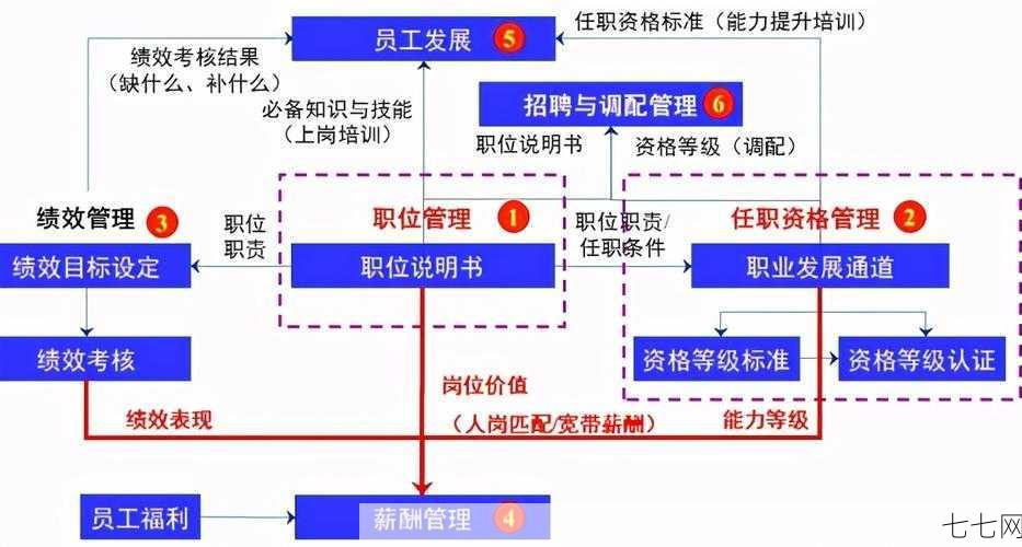 员工薪酬管理怎么做？有哪些科学合理的薪酬体系？-七七网