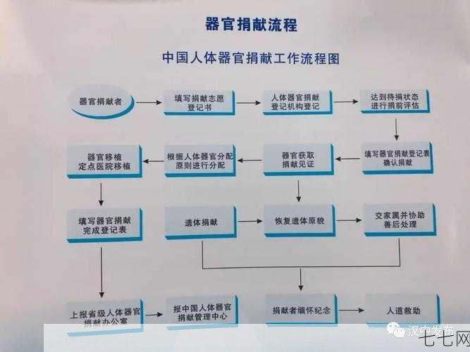 器官捐献流程复杂吗？有哪些法律法规需要了解？-七七网