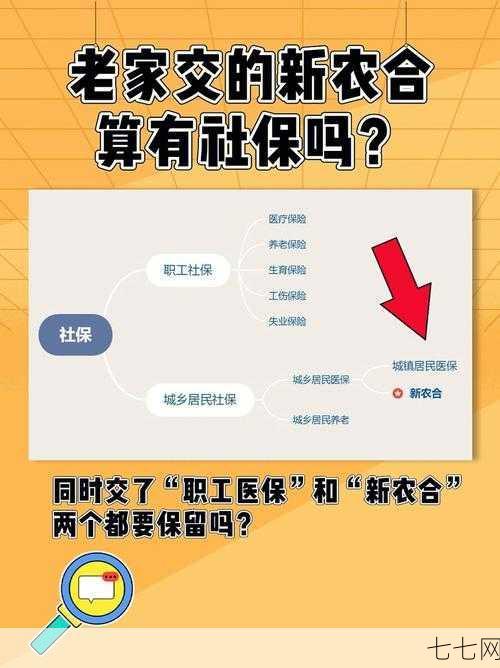 新农合养老保险政策是怎样的？如何缴费？-七七网