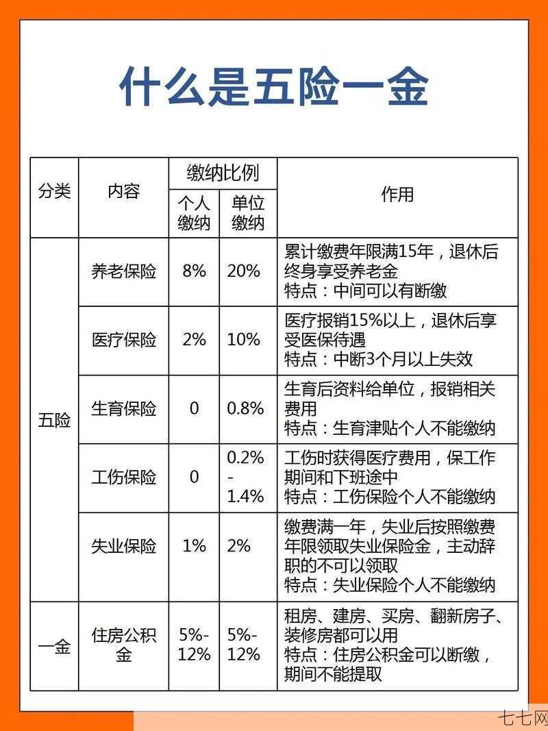 五险一金怎么交？个人和公司各应缴纳多少？-七七网