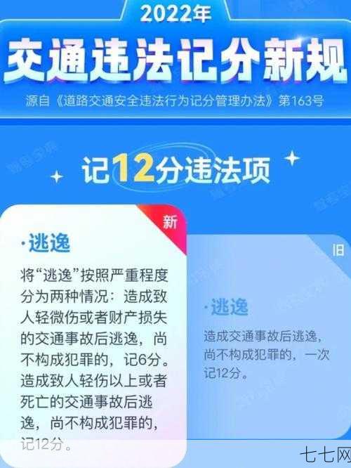 驾照新规施行，影响与应对策略-七七网